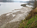 Uferrevitalisierung Donau