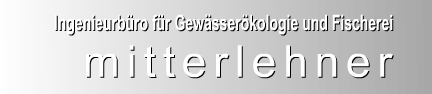 Logo Mitterlehner